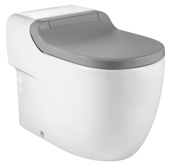 Roca Meridian One Piece Toilet Silver