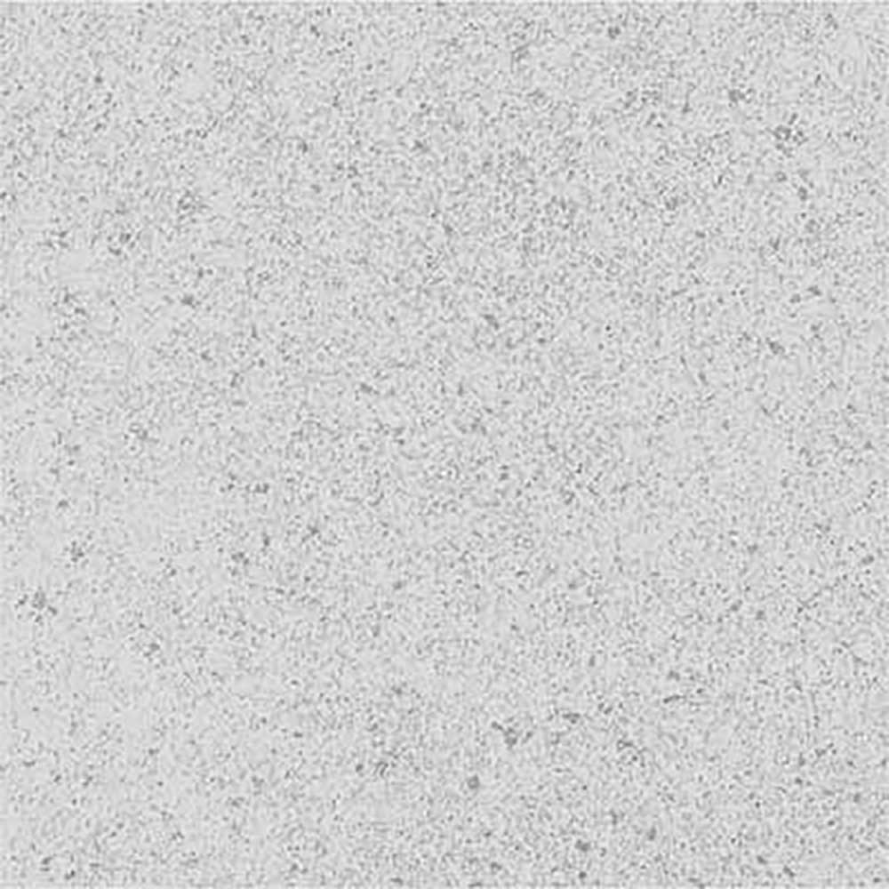 Kajaria Ceramic Wall and Floor Tiles Granito Grey Rustic PF00546